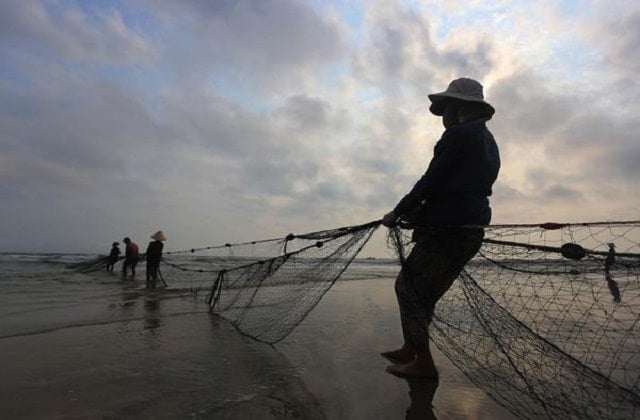 Ý nghĩa giấc mơ kéo lưới bắt được cá