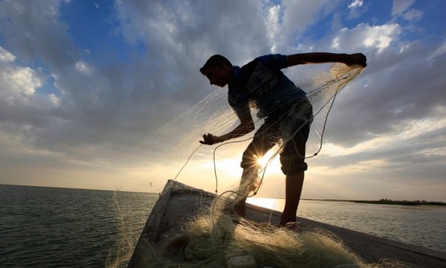 Giải đáp giấc mơ thấy kéo lưới bắt cá đầy đủ và chi tiết nhất